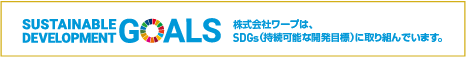 SDGs